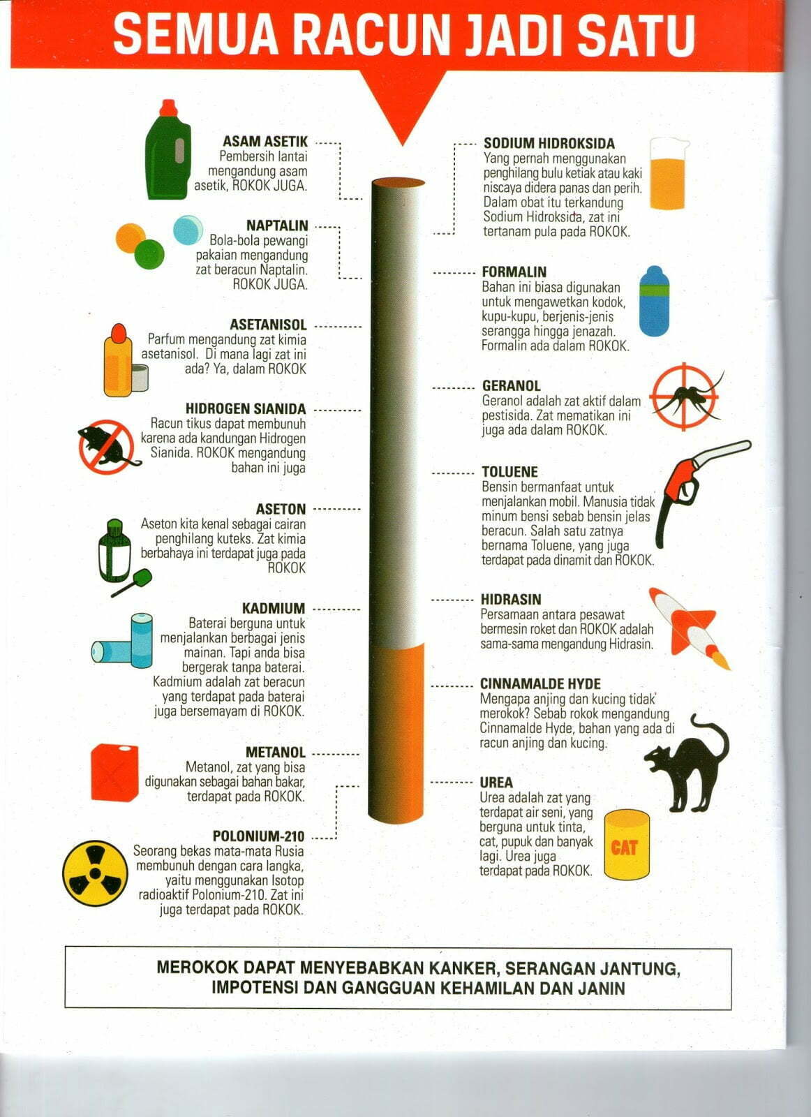 bahaya rokok bagi kesehatan anak